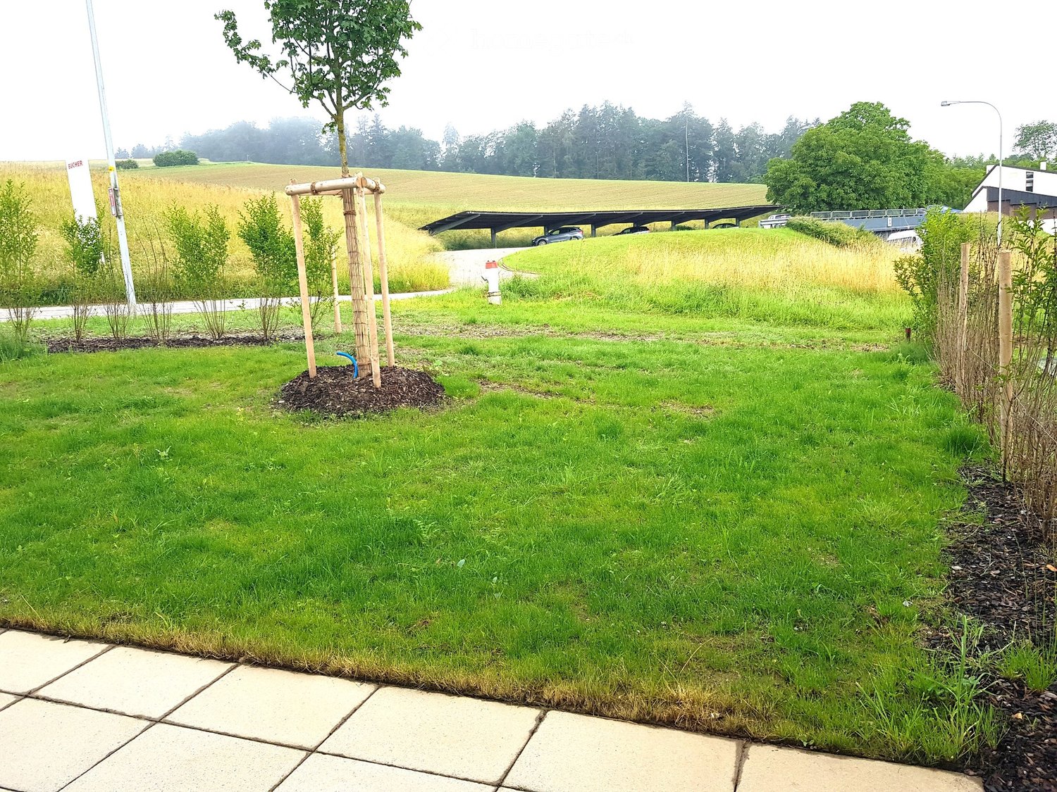 SCHÖNER WOHNEN im idyllischen NIEDERWENINGEN - Bild 5