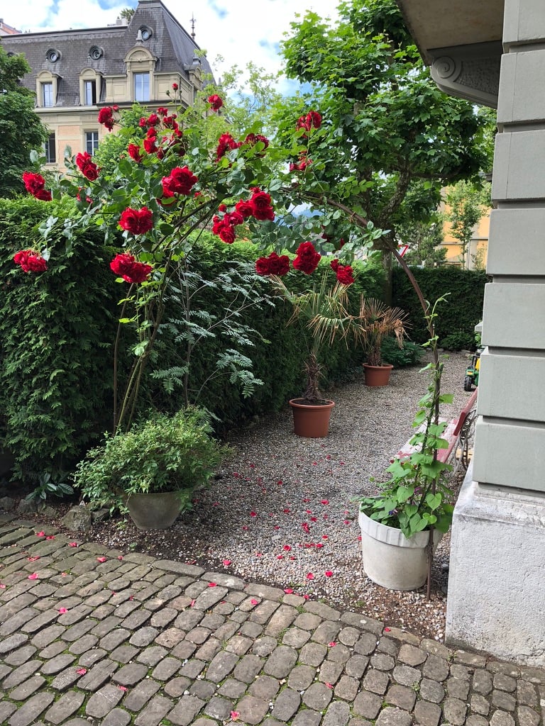 Stilvolle 6-Zimmer-Gartenwohnung im Kirchenfeld - Erstbezug nach Renovation - Bild 3