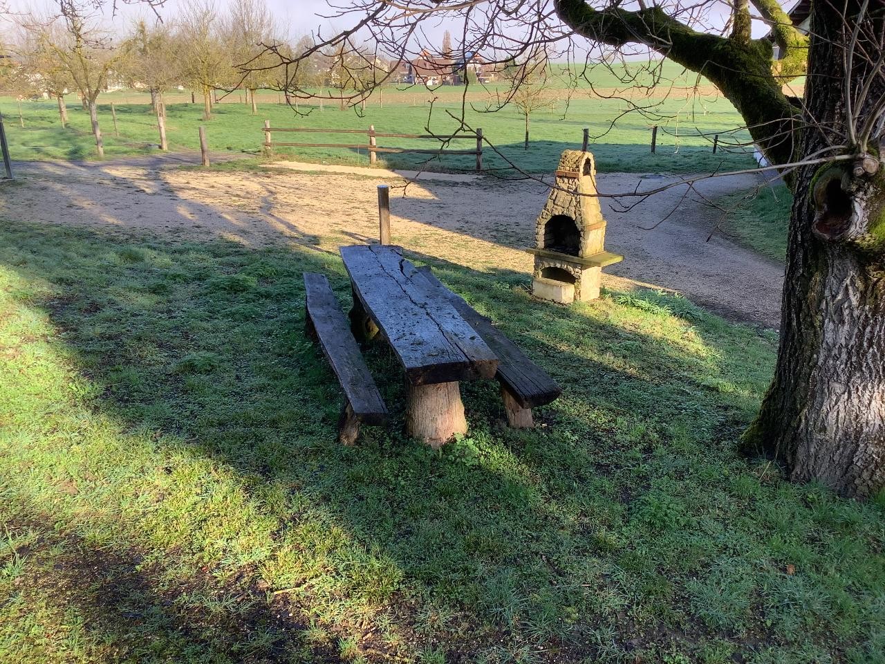 190m2 Lebensraum - Erstvermietung auf dem Bauernhof - Bild 2