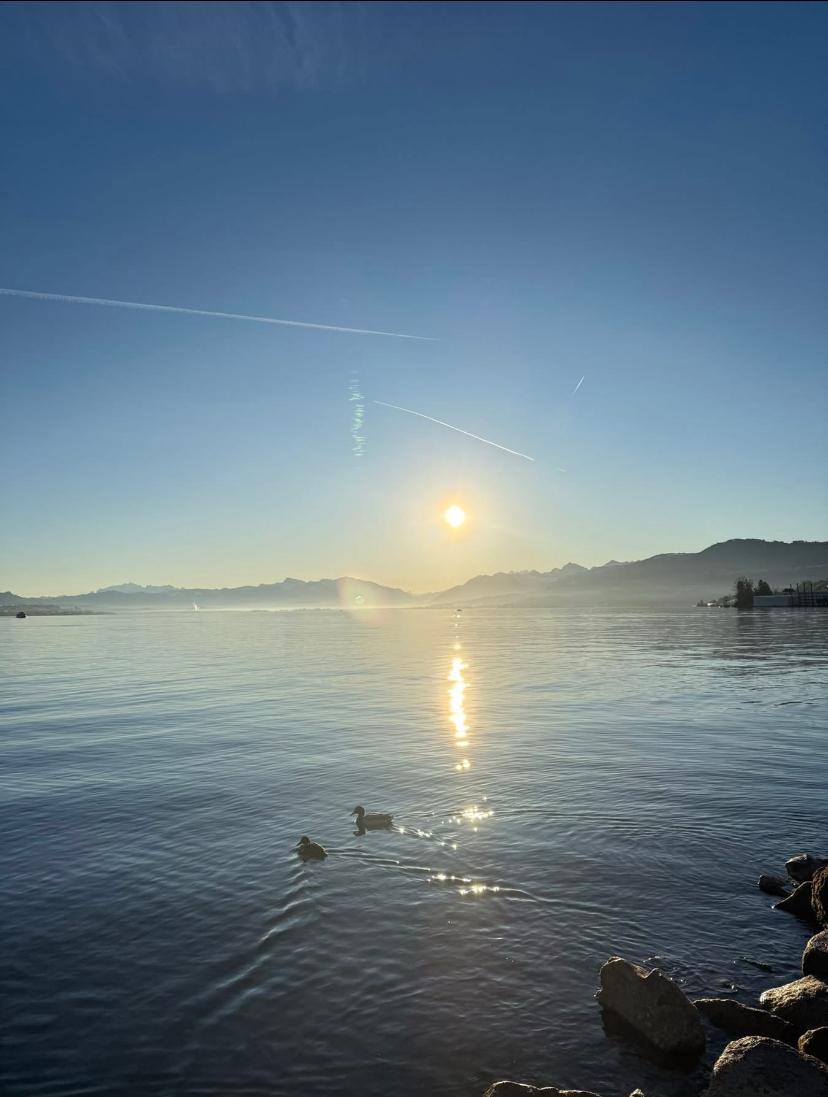 Exklusive 4.5-Zimmer-Duplex-Wohnung mit Seeblick in Uetikon am See - Bild 1