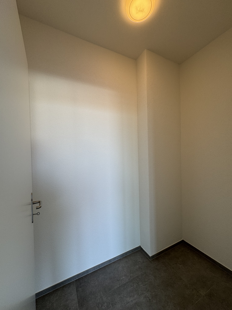 Moderne Wohnung mit grosser Dachterrasse - Reduit