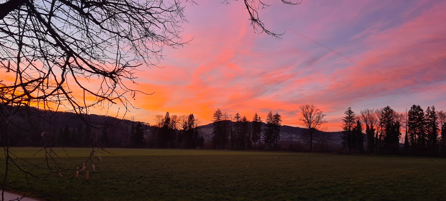 Wohnen am Hallwilersee - Bild 9