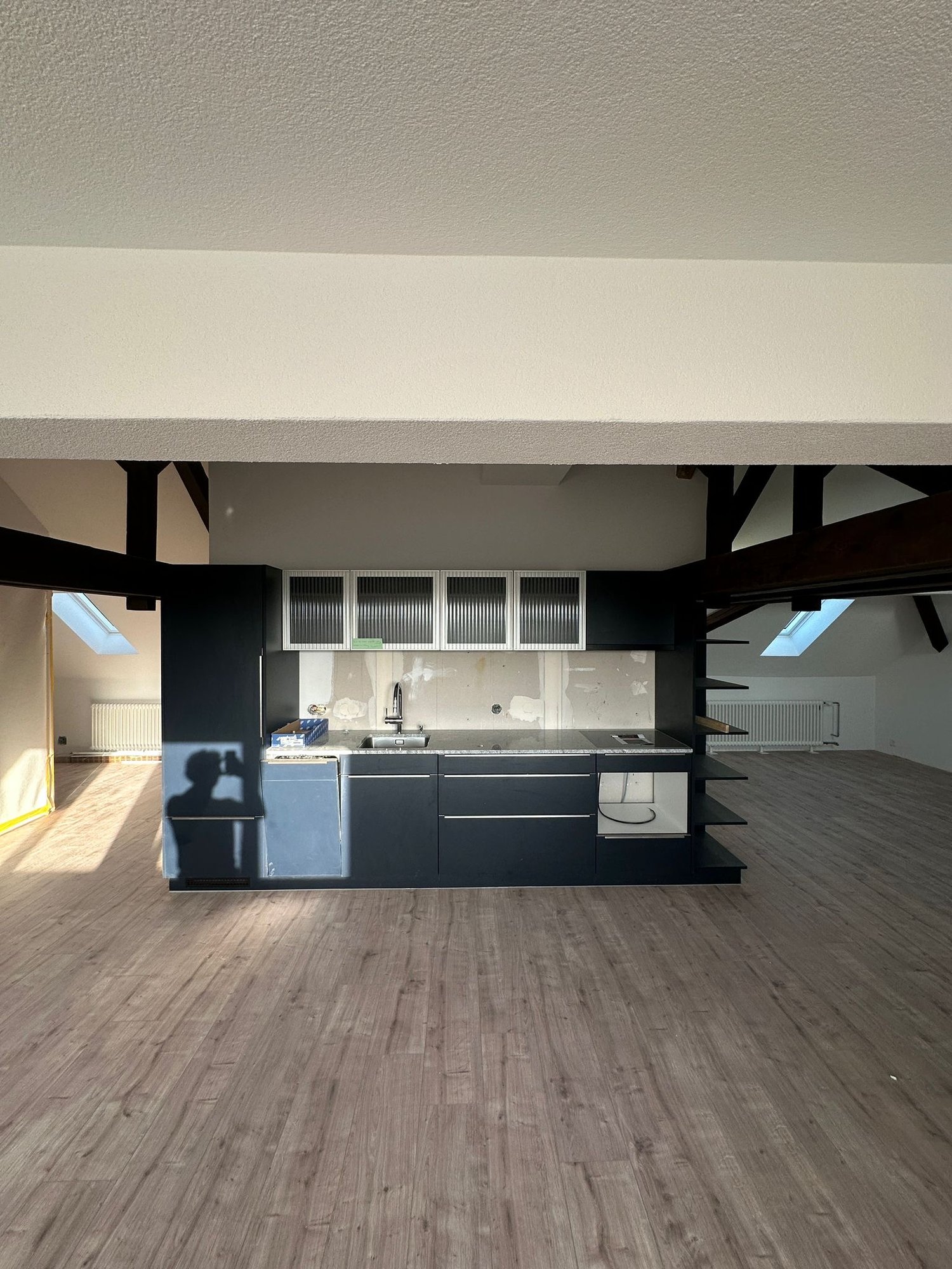 ERSTBEZUG - Grosszügige Loftwohnung im DG zu vermieten - Bild 1