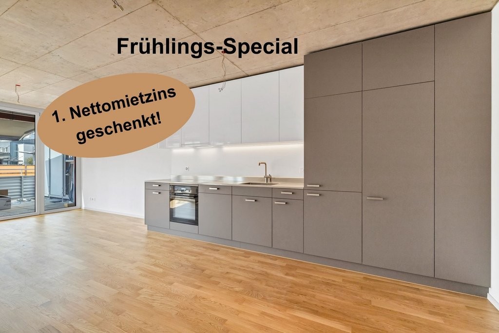 Erstbezug: 4.5-Zimmer-Wohnung mieten ohne Kaution - Beispiel Ess-/Wohnbereich