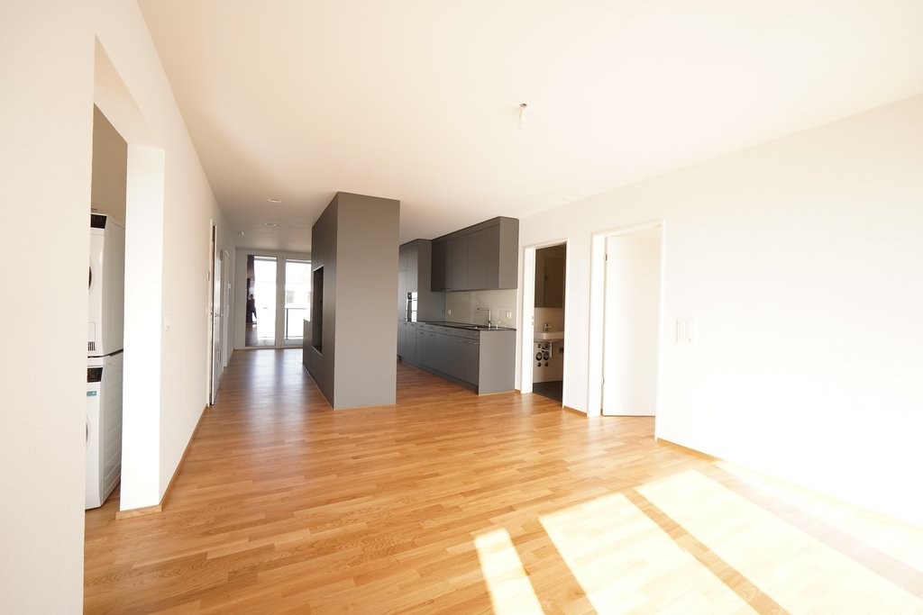 ERSTVERMIETUNG IN LIESTAL - jede Wohnung mit eigenem Waschturm - DSC02800.JPG