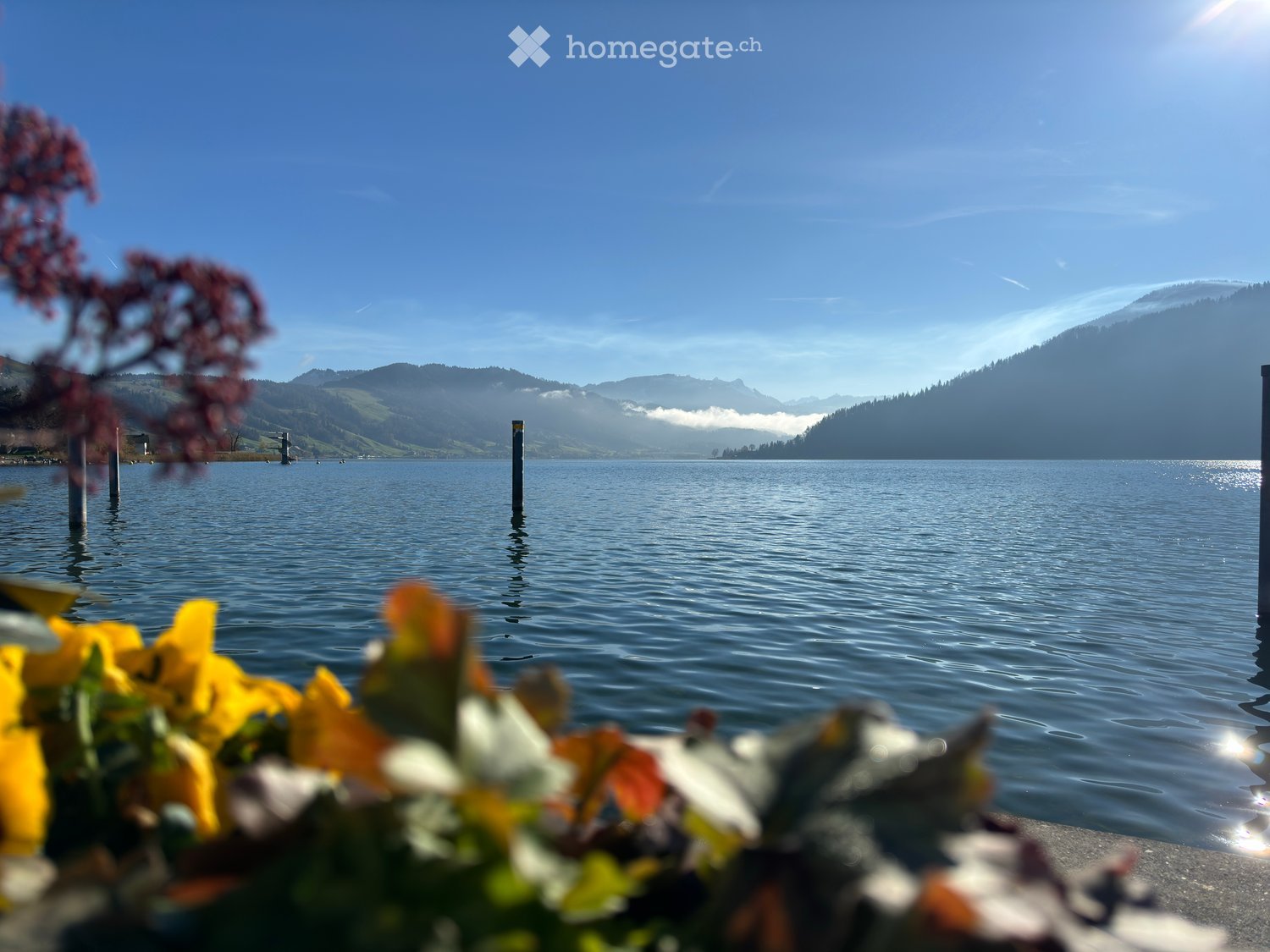 Moderne 2.5-Zimmer-Neubau-Wohnung mit Bergblick in Oberägeri - Bild 5