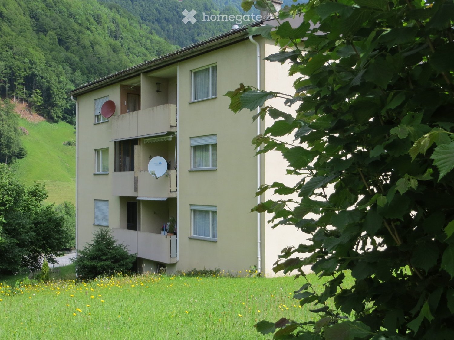 Günstige renovierte helle 4.5-Zimmer-Wohnung im Grünen - Bild 1