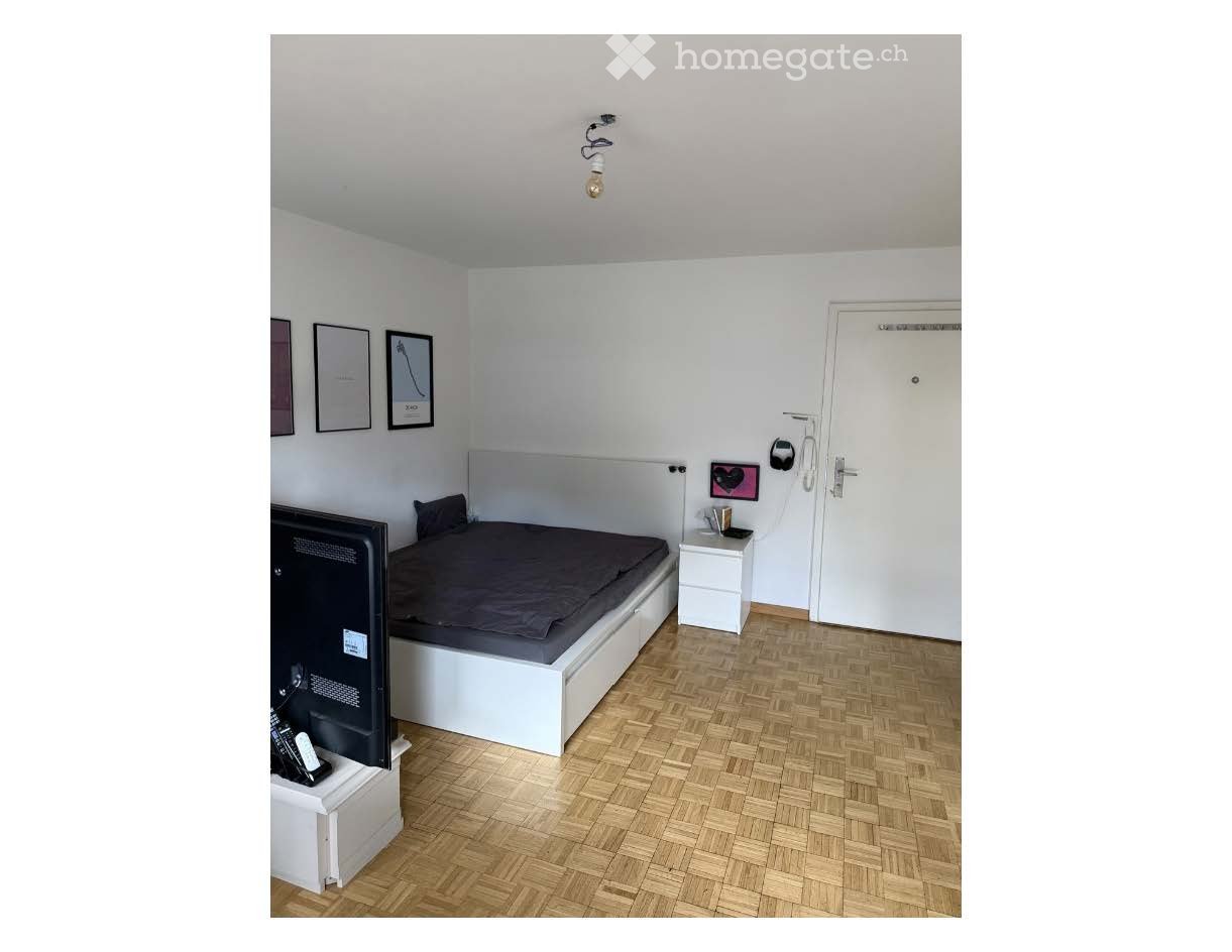 Zentrale 1-Zimmer-Wohnung - temporäres Zuhause Mai-Juni 2026 - Bild 1