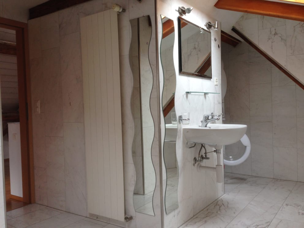 Grosse Dach-Loft-Wohnung in Mitten vom Zentrum von Zizers GR - Bild 8