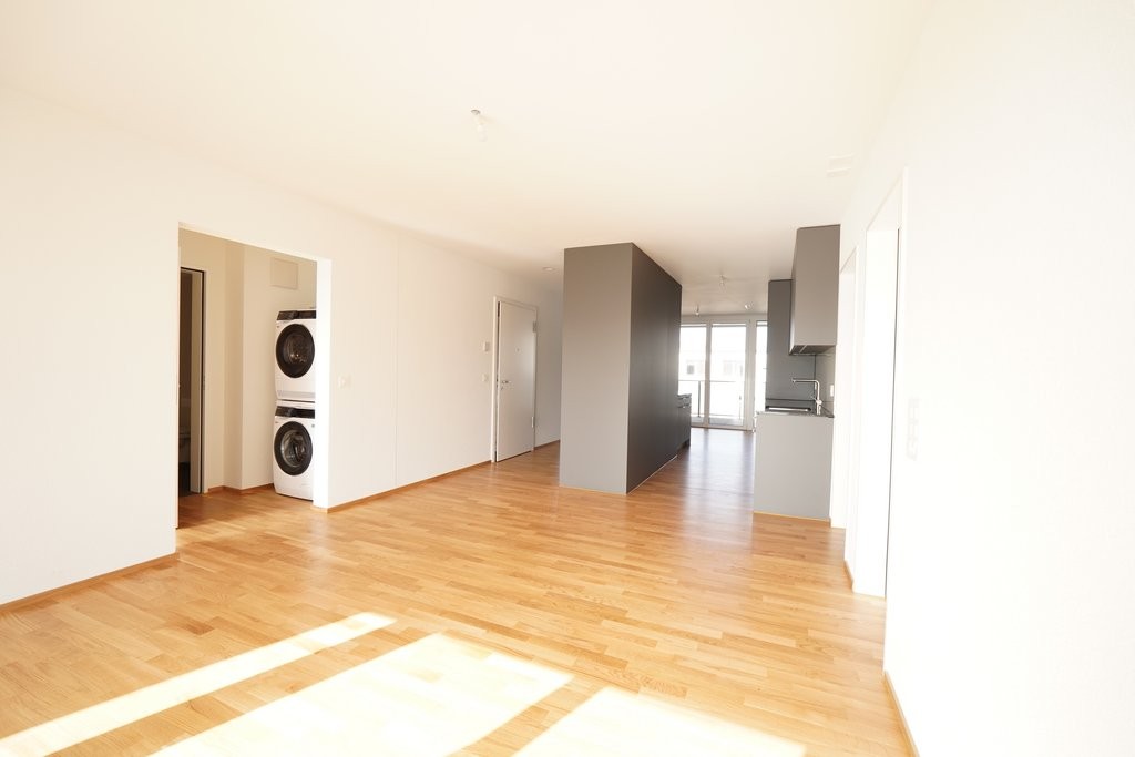 ERSTVERMIETUNG IN LIESTAL - jede Wohnung mit eigenem Waschturm - DSC02804.JPG