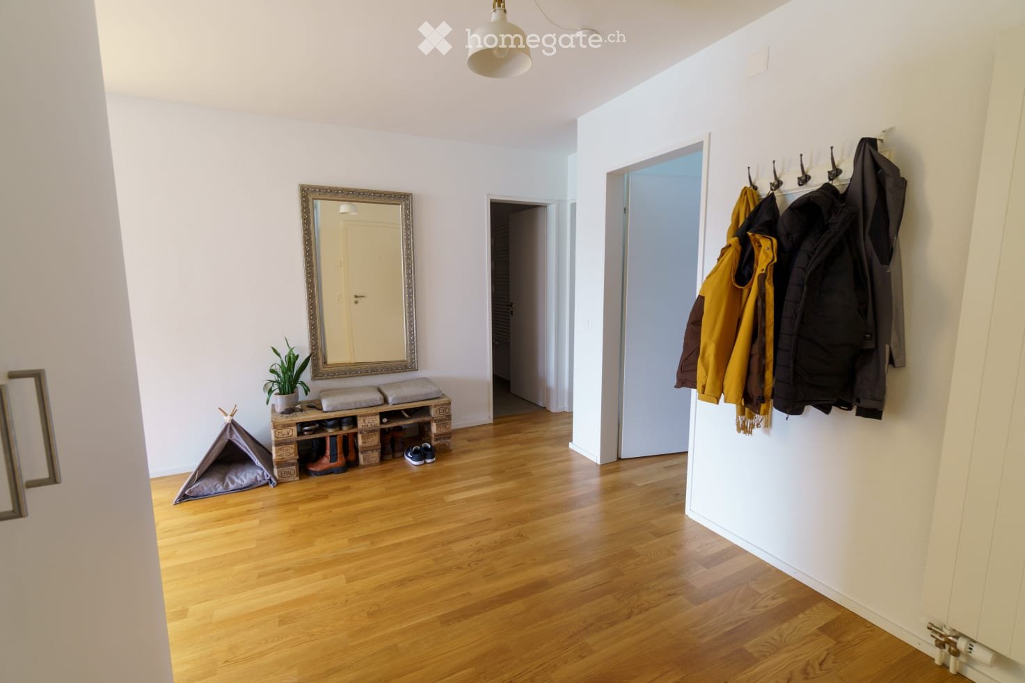 WG Buddy in 4.5 Zimmerwohnung gesucht - Bild 5