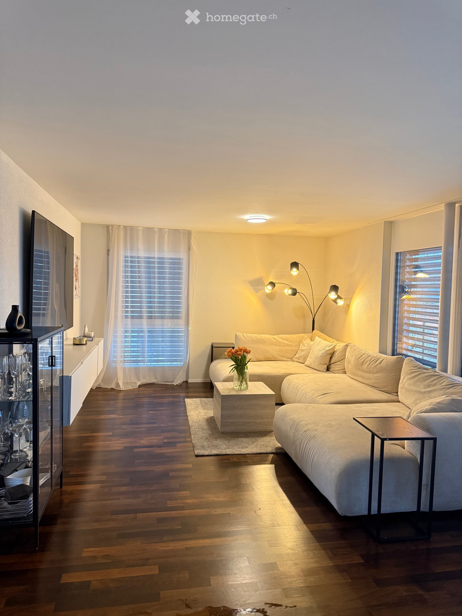 Moderne 3.5-Zimmer-Neubau-Wohnung mit Terrasse in Gretzenbach - Bild 1