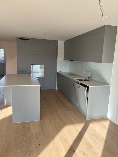 Moderne 4.5-Zimmer-Neubau-Wohnung mit Balkon in Naenikon - Bild 1
