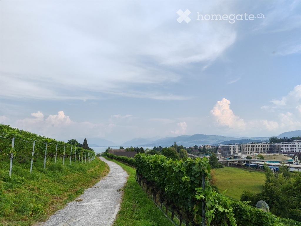 Erstvermietung: 2.5‑Zimmer‑Eckwohnung in Au, Wädenswil (ZH) - Bild 1
