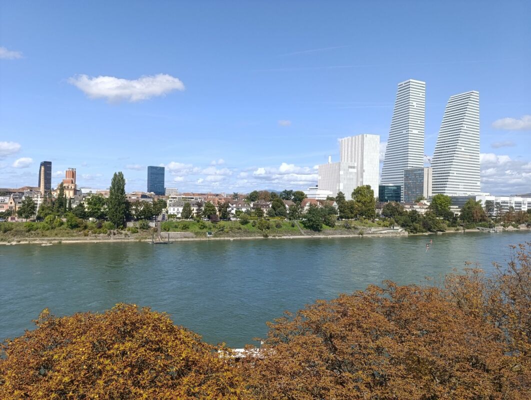 Wohnen direkt am Rhein (St. Alban-Tal) - Bild 12