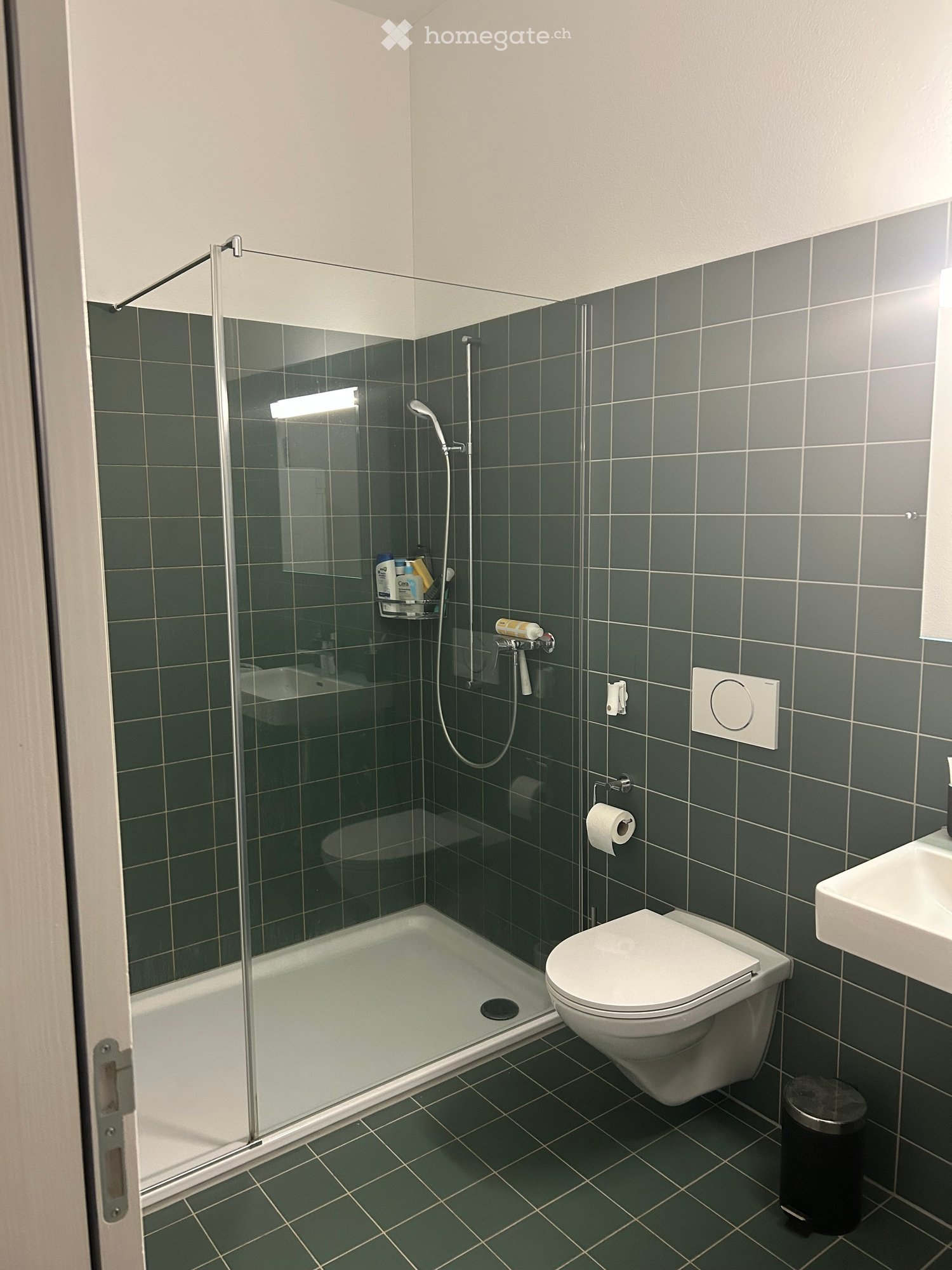 Moderne 3.5-Zimmer-Wohnung mit grosszügigem Reduit (11m²) - Bild 3