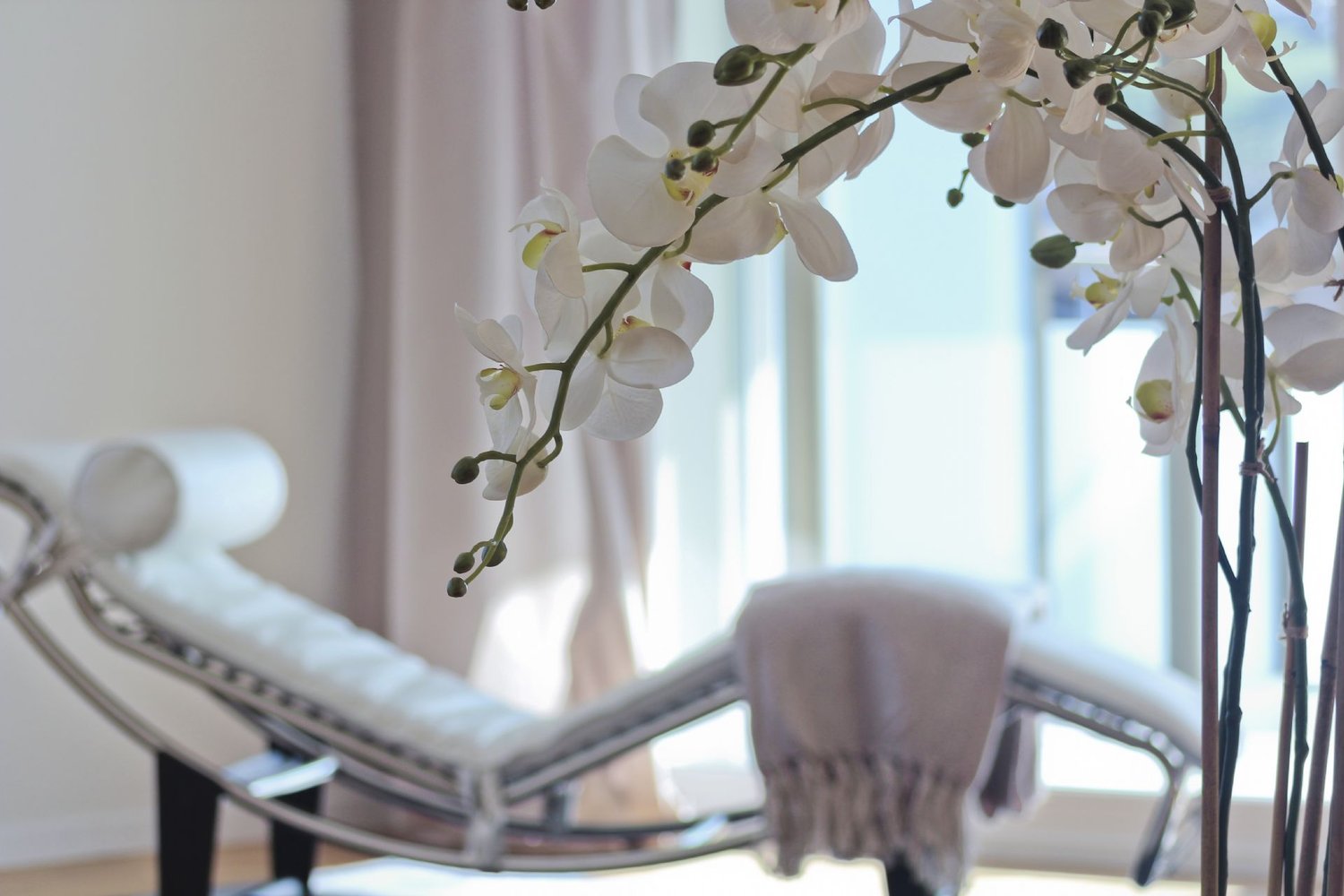 Start ins neue Wohnglück! - Bild 6