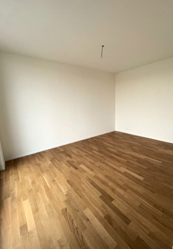 Grosszügige 2.5-Zimmer-Attika Wohnung im Neubau mit moderner Ausstattung - Bild 5