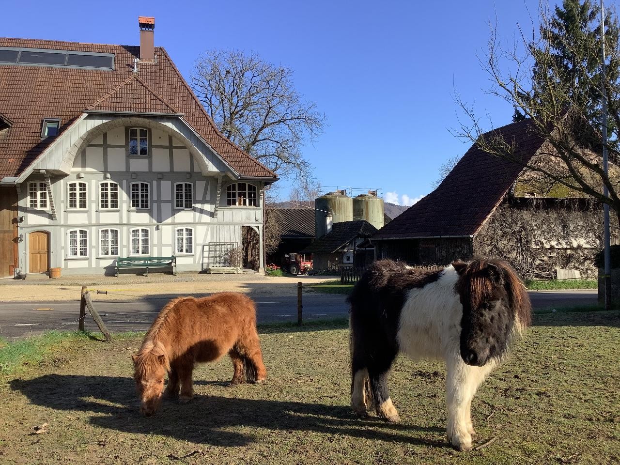 190m2 Lebensraum - Erstvermietung auf dem Bauernhof - Bild 1