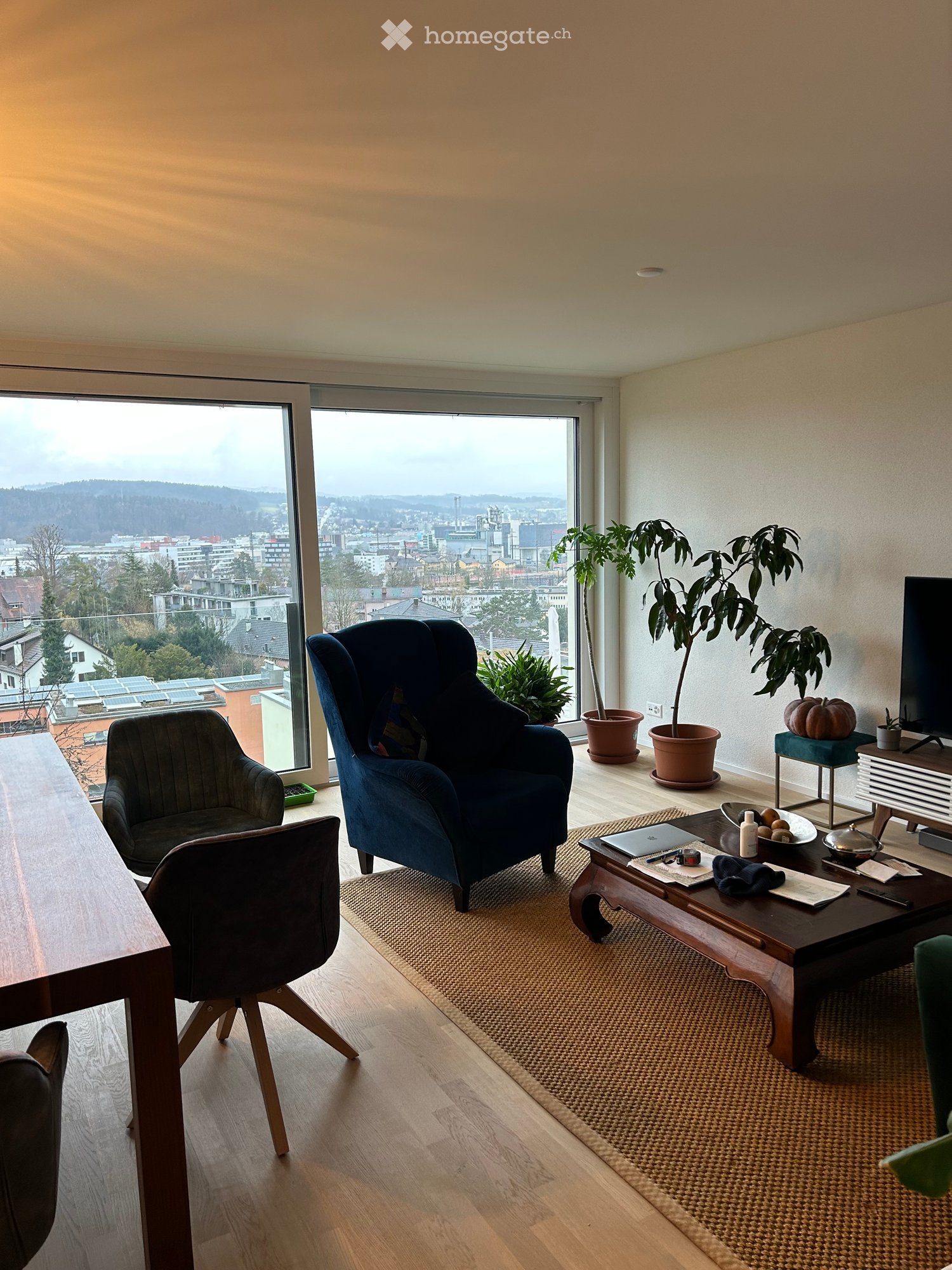 Moderne 3.5-Zimmer-Neubau-Wohnung mit Balkon in Winterthur - Bild 1