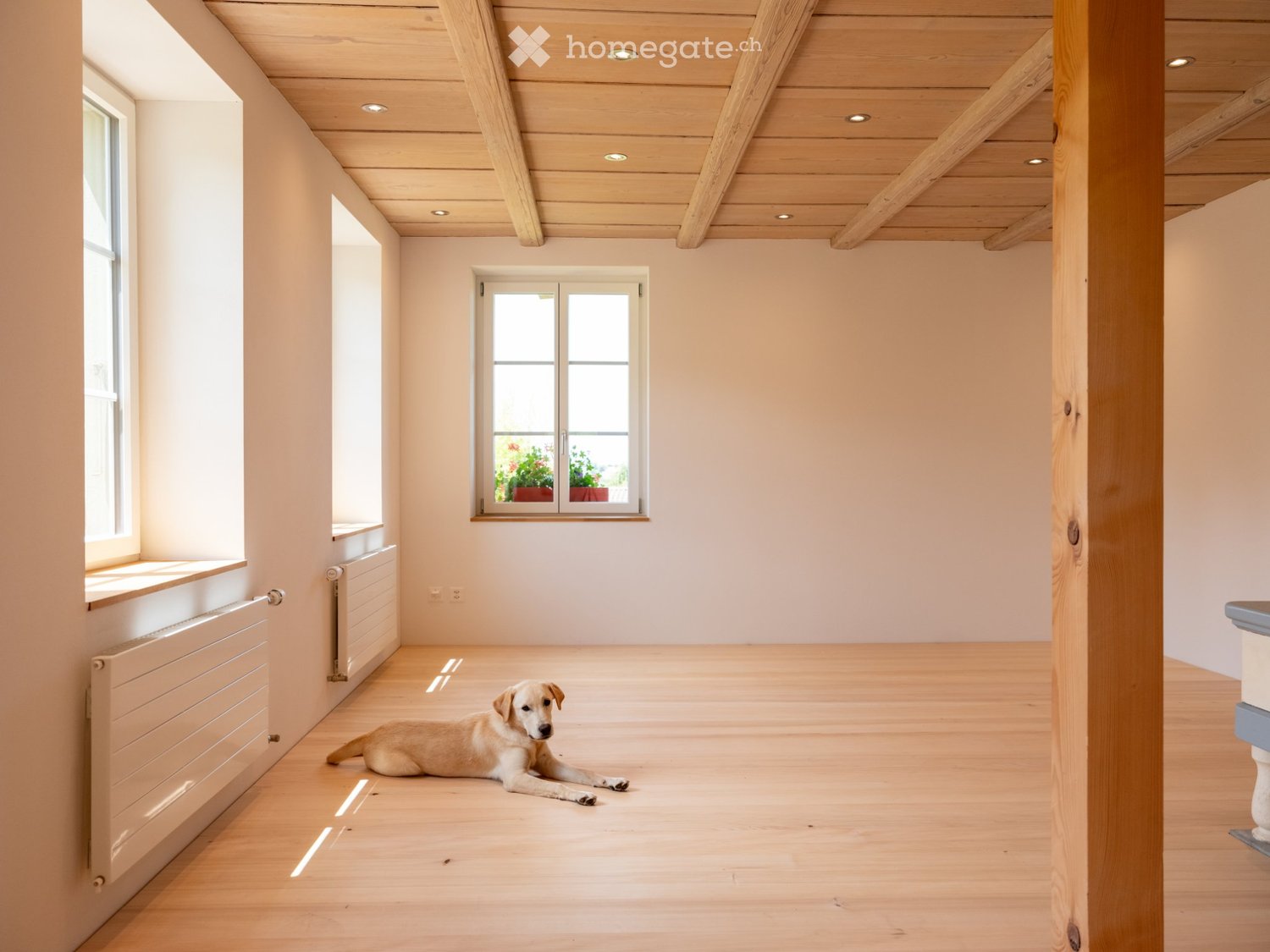 Neue moderne 3.5 Zi. Wohnung mit Charme in Bauernhaus im EG - Bild 11