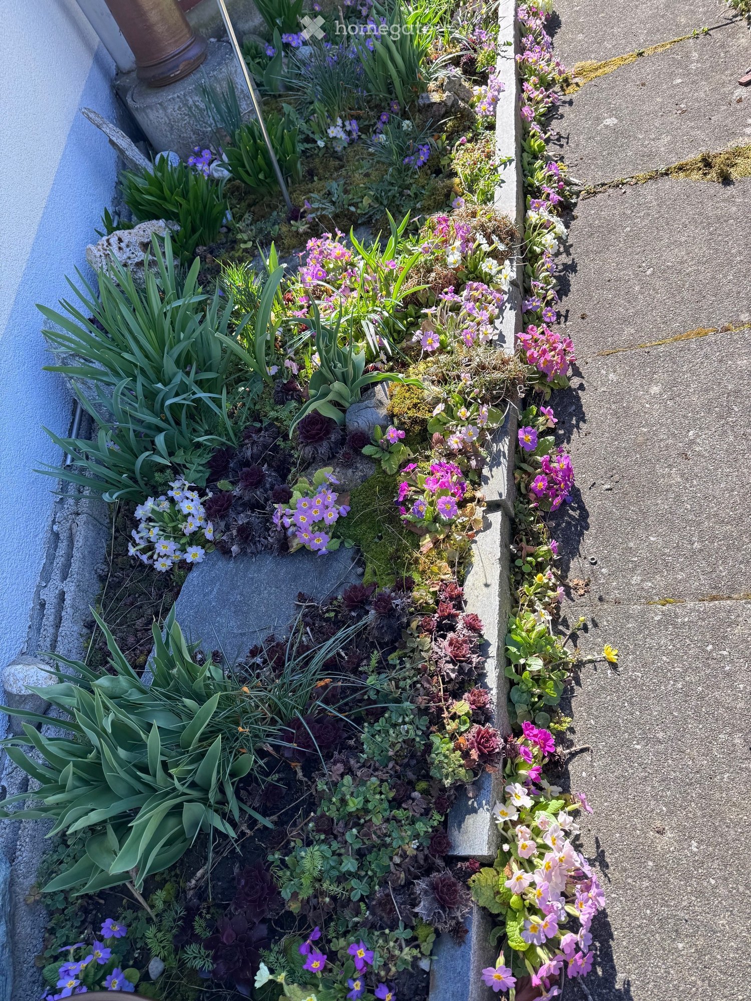 Charmantes 5.5-Zimmer-Einfamilienhaus in ruhiger Lage von Krauchthal - Bild 3