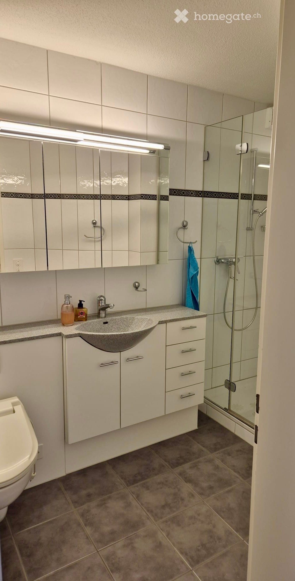 Grosszügige 4.5-Zimmer-Dachwohnung mit Bergblick in Luzern - Bild 12