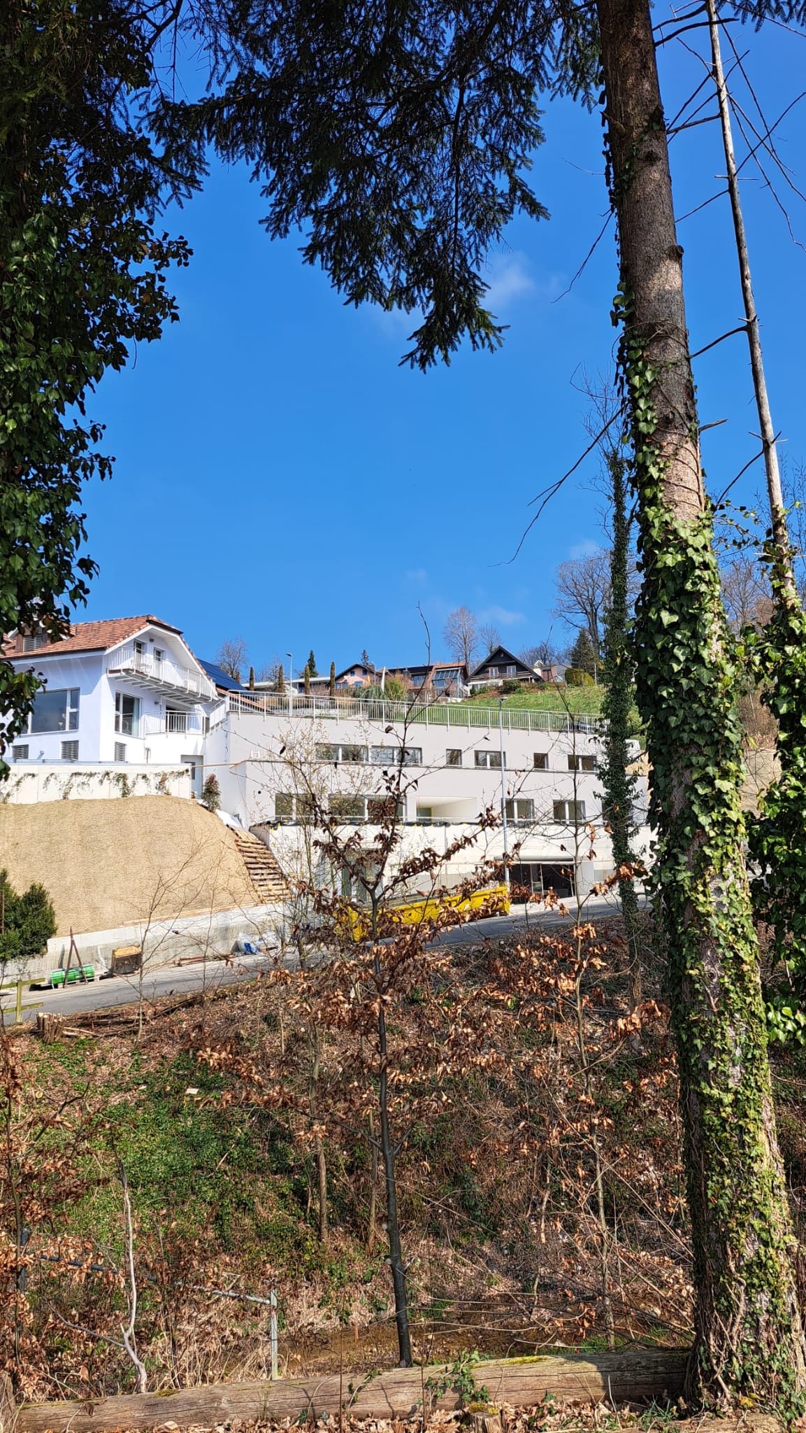 Moderne Terrassenwohnung mit Tiefgarage in Hitzkirch - Bild 1