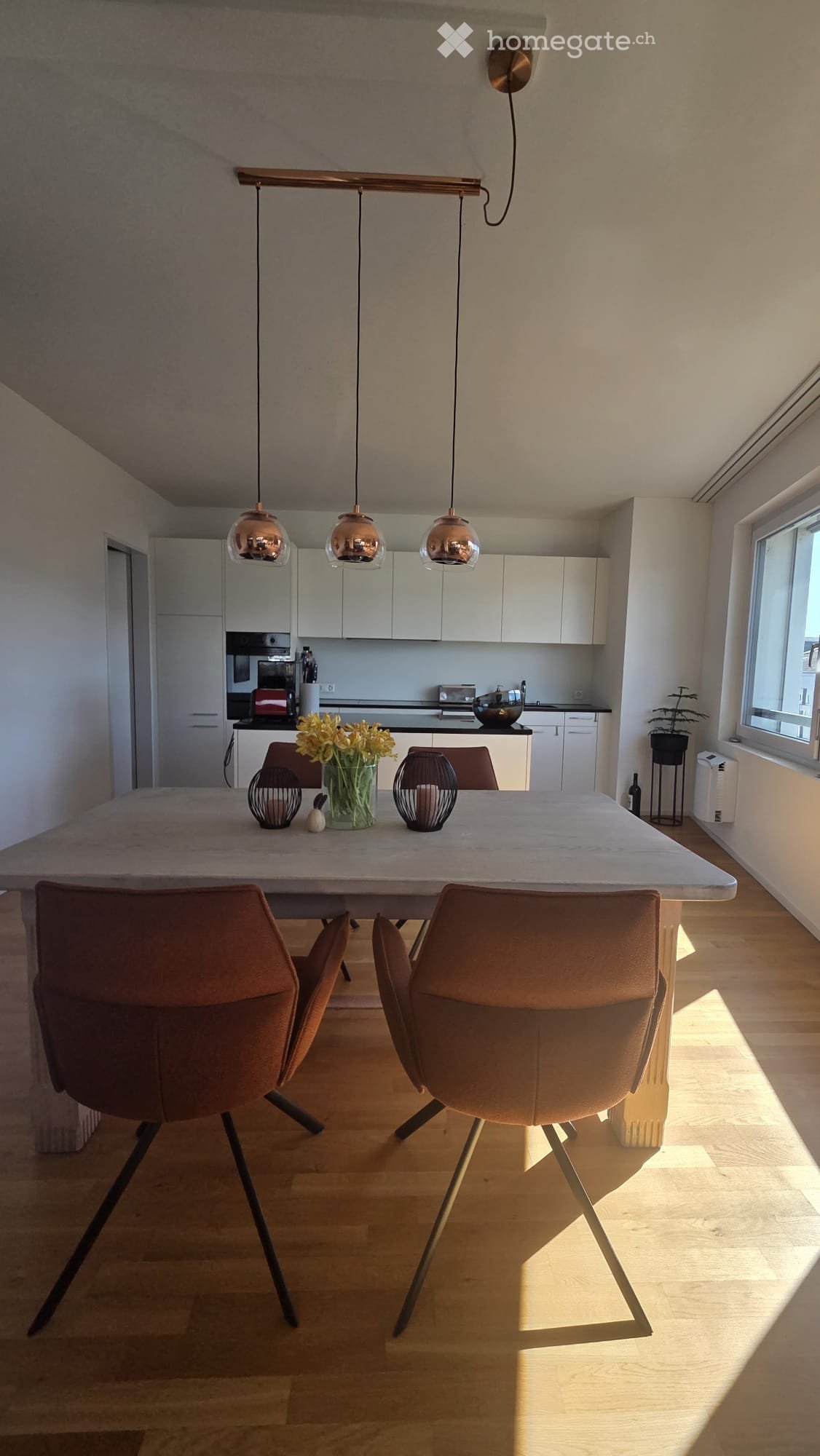 Moderne 2.5-Zimmer-Loft-Wohnung mit Balkon und Parkplatz in Zürich Altstetten - Bild 1