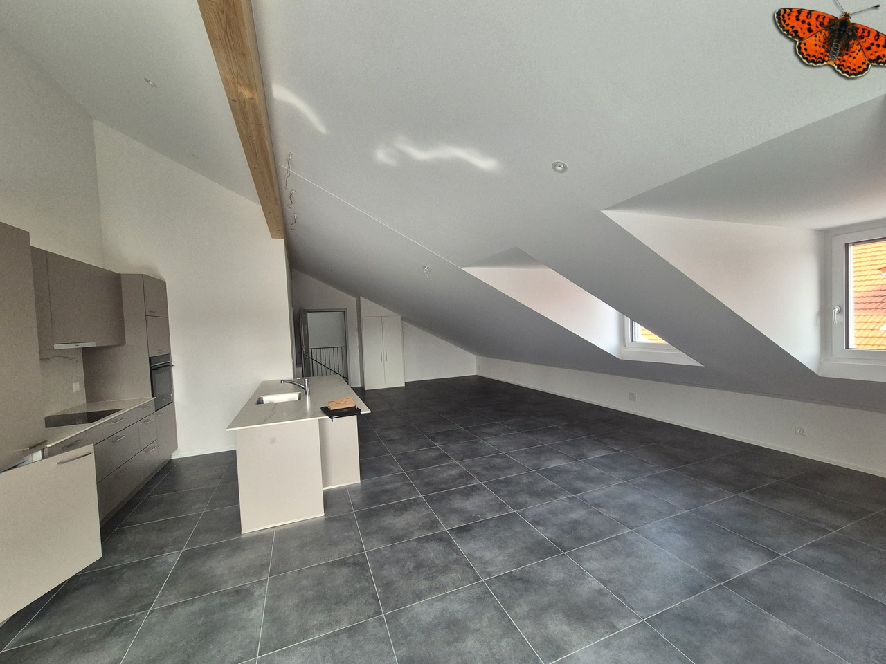 CHARMANT 3 ½ PIECES NEUF - séjour