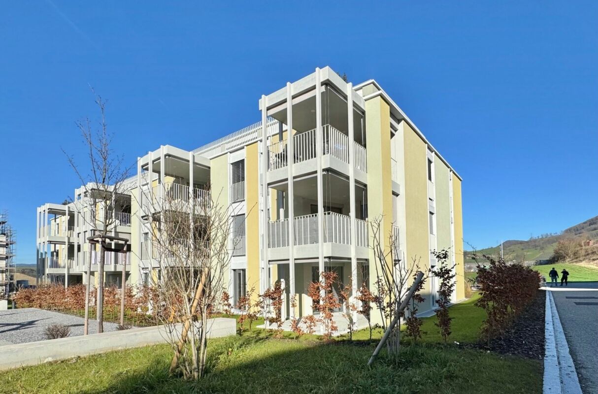 Frick / 3.5 Zimmer-Gartenwohnung - Bild 2