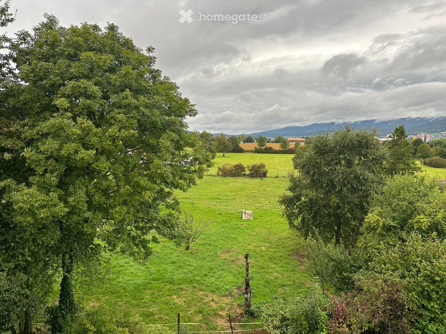 Moderne 4-Zimmer-Wohnung mit Balkon mit Blick ins Grüne - Bild 9