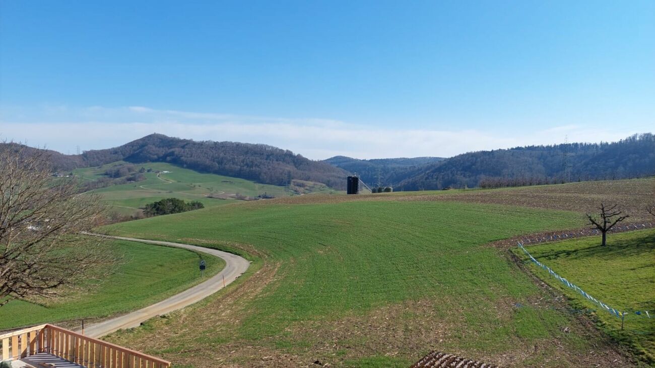 Hochwertige 3.5-Zimmer Wohnung (Neubau) - Bild 8