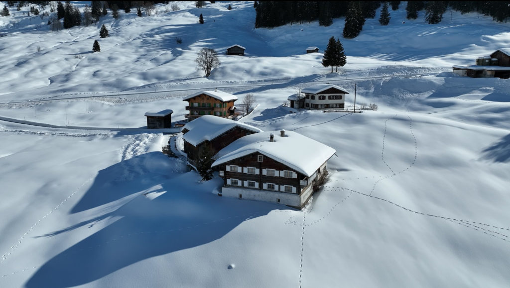 Neubau 4.5-Zimmer-Doppel-Einfamilienhaus - St. Antönien