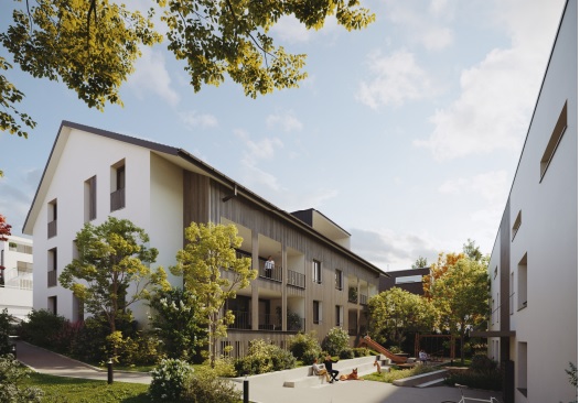 Neubauprojekt HASENberg - Bellikon - Bellikon Hasenberg NEU Haus mit Dachwohnung