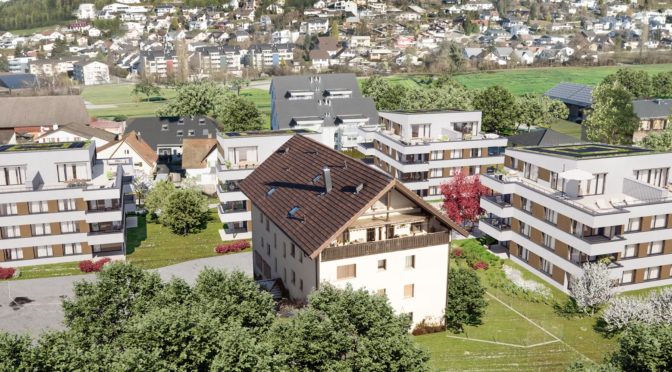 Saniertes Objekt oder Neubau?