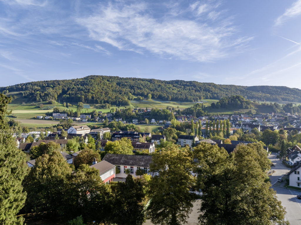 Neubau - Eigentumswohnungen in Rorbas - Aussicht