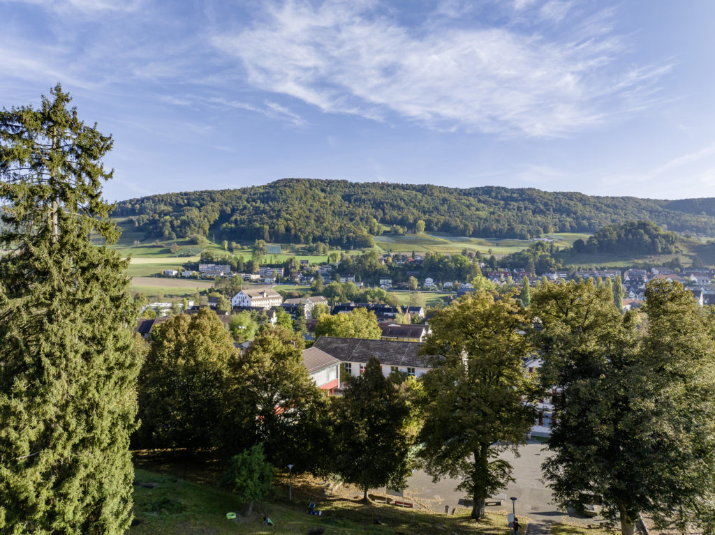 Neubau - Eigentumswohnungen in Rorbas - Aussicht