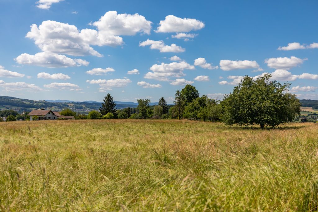 Hohliebi Fahrwangen - Parzelle