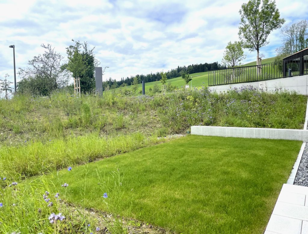 5,5-Zimmer-Gartenwohnung - Freie Besichtigung: 1.5.25 I 16-18 Uhr - Bild 3