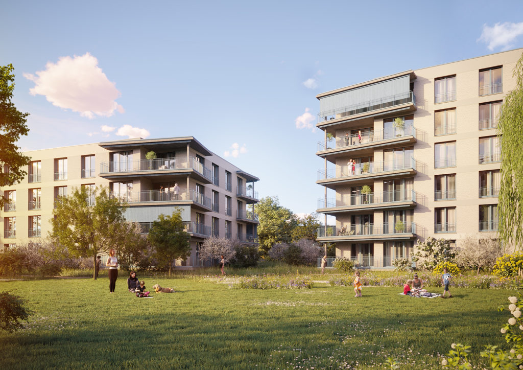 Erstvermietung 4.5-Zimmerwohnung in Münchenstein - Bild 10