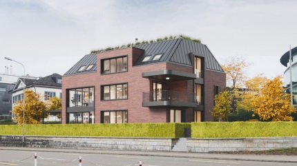 Mehrfamilienhaus mit 3 Wohneinheiten - Männedorf, Alte Landstrasse 404,