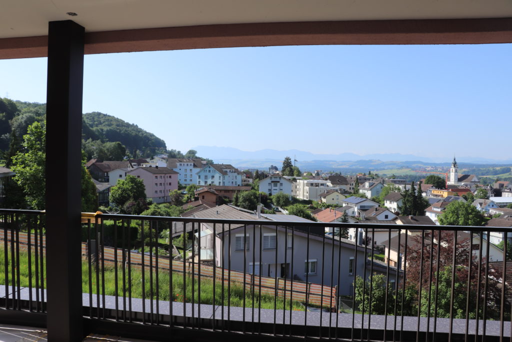 Letzte 5,5-Zimmer-Wohnung - Aussicht in Richtung Sursee