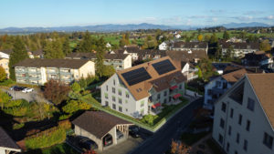 Vogel1