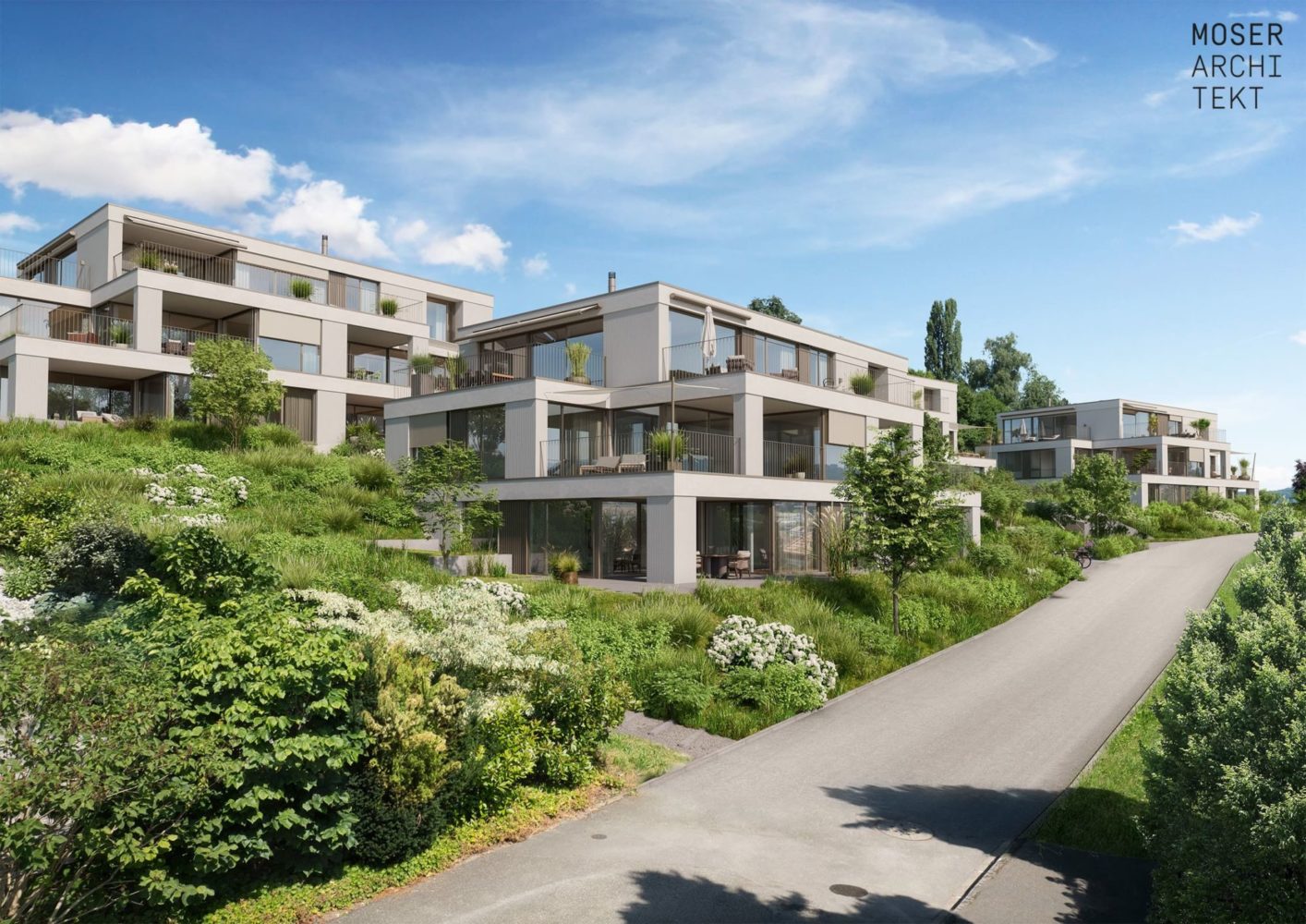 Aargau Lenzburg Dintikon Terrassenwohnungen mit sensationeller Bergsicht