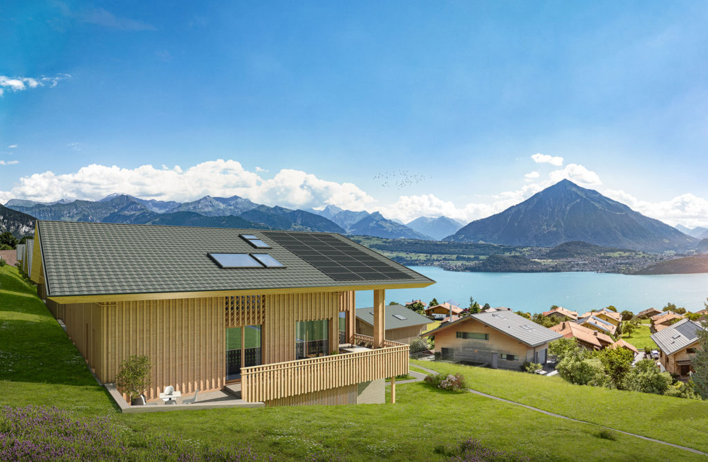 Neubau 8 Doppel-EFH und 3 Eigentumswohnungen - Architektur Visualisierung