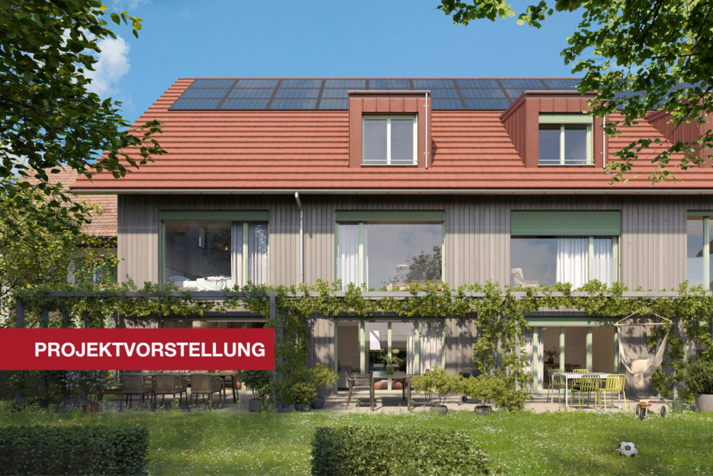 Eiken: Schöne Reihen- und Doppeleinfamilienhäuser - Aussenvisualisierung