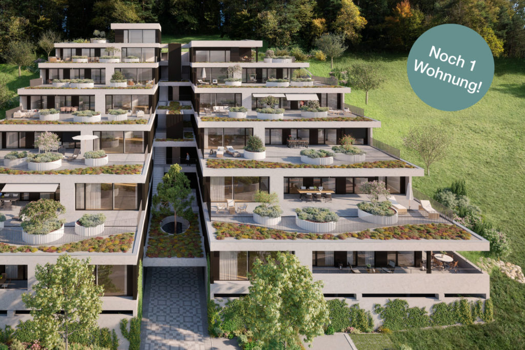 Erlinsbach Gartenweg - Zuhause an attraktiver Lage - Aussenvisualisierung