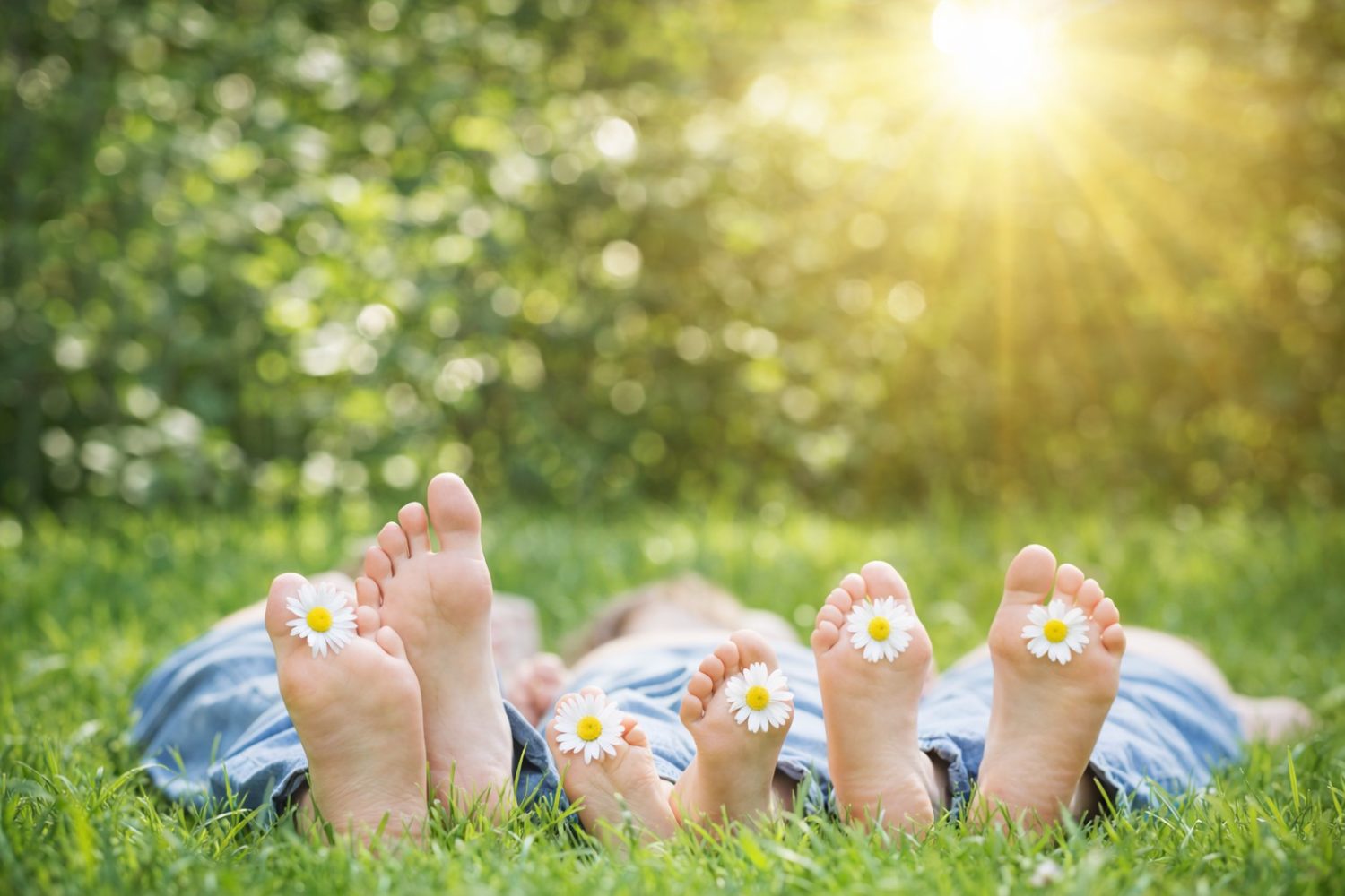 Barfüße mit Gänseblümchen im Gras