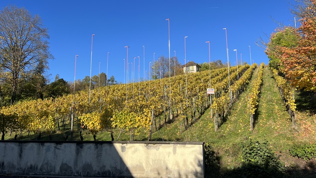 6 Eigentumswohnungen in Winterthur - IMG_7697